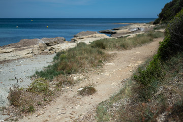 A path bordering the sea