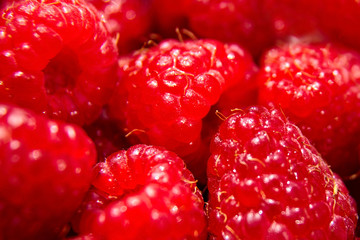 Raspberry background, red ripe juicy berries, raw food, closeup, selective focus