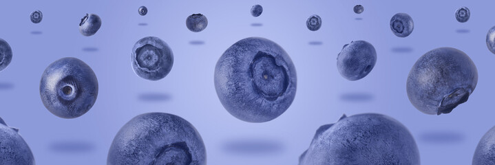 blueberries levitating over purple background, panoramic image, food background with summer berries. Creative minimalism