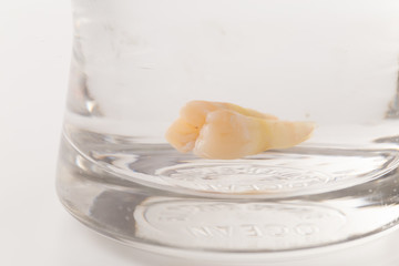 Fototapeta na wymiar Tooth decay in a glass of water