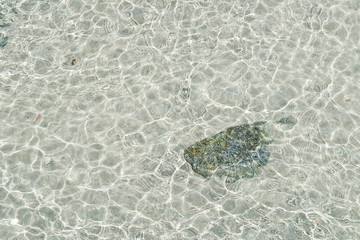 Clear sea water surface texture background.