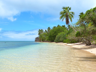 Exotic coral island with coconut palm trees, Romantic travel destination, Tonga