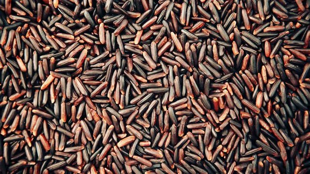 Black rice as natural food background. Top view. Healthy diet gluten free
