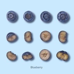Creative layout made of fresh organic blueberries, set or collection of fresh blueberries, over blue background