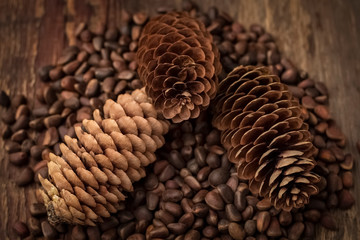 Beautiful cones on pine nuts in their shells. View top