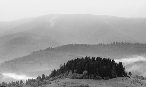 Carpathians in black and white