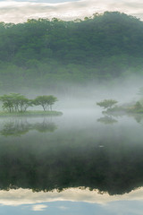 Fototapeta premium 初夏の赤城山覚満淵