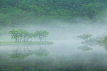 初夏の赤城山覚満淵