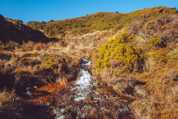 Sililca Rapids, Tongariro National Park 