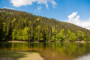 Obraz premium Sinevir lake. Volcanic lake in the Carpathian Mountains