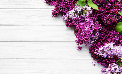 Lilac spring flowers border