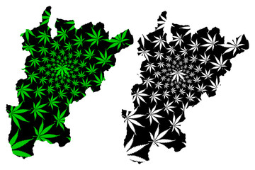 Uri (Cantons of Switzerland, Swiss cantons, Swiss Confederation) map is designed cannabis leaf green and black, Canton of Uri map made of marijuana (marihuana,THC) foliage.... - obrazy, fototapety, plakaty
