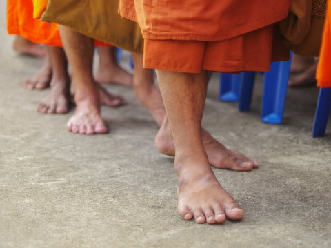 Close-up Mong's foot that walking on the ground, Wat Don Toom, Ban Pong, Ratchaburi, Thailand.