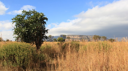 Natural Landscapes. View Of Blyde River Canyon And Tropical Savanna Field In South Africa