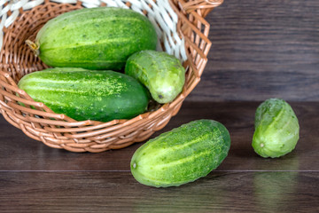 Green tasty cucumbers in a wicker basket and on a wooden table. Harvest of cucumbers_