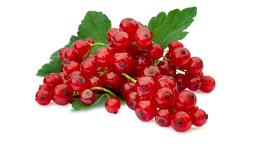 bunch of red currant and green leaves isolated on white background. Still-life.
