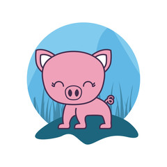 cute piggy animal isolated icon