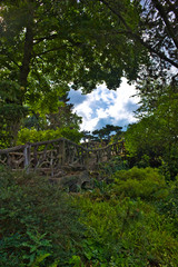 Fototapeta premium Superb pictures of Parc Monsouris Paris 