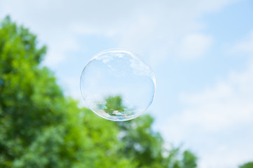 soap bubble against the blue sky and green trees. Summer outdoor