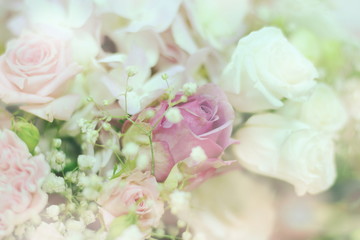 Close up beautiful Pink  rose flower bouquet