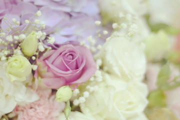 Close up beautiful Pink  rose flower bouquet