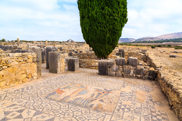 Mosaic floor at the ruins of Volubilis, ancient Roman city in Morocco.