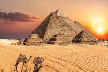 Fototapeta na wymiar Camel caravan near the Giza Pyramids of Egypt