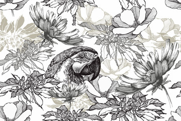 Floral seamless vintage background with parrot and flowers. Black white, hand drawn, vector illustration - 275772722