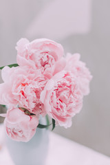 Bouquet of pink peonies in the vase pastel toned