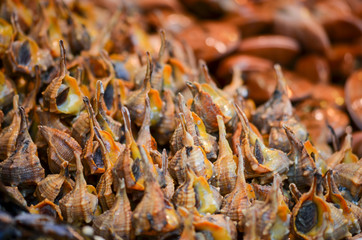 fresh seafood within the fish market in Spain - octopus, shells, shrimps, fish, oysters, lobster 