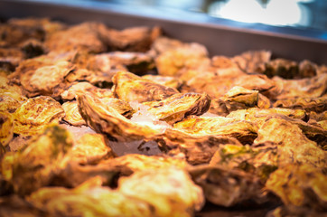 fresh seafood within the fish market in Spain - octopus, shells, shrimps, fish, oysters, lobster 