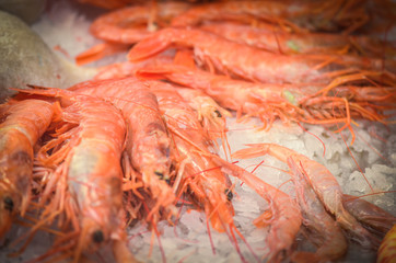 fresh seafood within the fish market in Spain - octopus, shells, shrimps, fish, oysters, lobster 