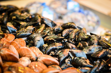 fresh seafood within the fish market in Spain - octopus, shells, shrimps, fish, oysters, lobster 