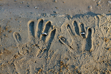Fototapeta premium Newlyweds wear rings. Wedding ceremony. Handprints in the sand. Bride and groom with rings.