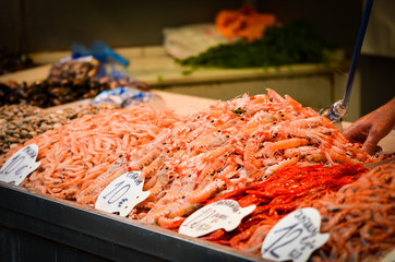 fresh seafood within the fish market in Spain - octopus, shells, shrimps, fish, oysters, lobster 