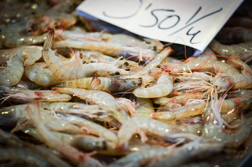 fresh seafood within the fish market in Spain - octopus, shells, shrimps, fish, oysters, lobster 