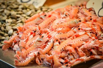 fresh seafood within the fish market in Spain - octopus, shells, shrimps, fish, oysters, lobster 