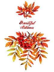 Obraz premium Watercolor illustration.Beautiful autumn, branch of mountain ash. Background white, set. Postcard for you, handmade