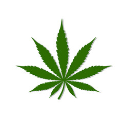 Cannabis Leaf Logo Design Inspiration-Vector