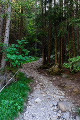 Oberstdorf Berge Alpen Panorama Wandern