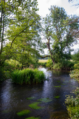 Fototapeta na wymiar River Whitewater at Bramshill England