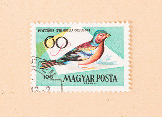 HUNGARY  - CIRCA 1961: A stamp printed in Hungary shows a bird (Fringilla Coelebs), circa 1961