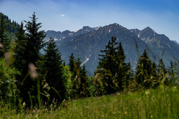 Oberstdorf Berge Alpen Panorama Wandern