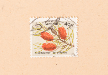 AUSTRALIA - CIRCA 1970: A stamp printed in Australia shows a flower (Callistemon Teretifolius), circa 1970