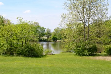The beauty of the lake and the spring green grass in park.