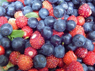 Ripe blueberries and wild strawberries as a source of vitamins: A, C, B1, B6, vitamin PP and antioxidants