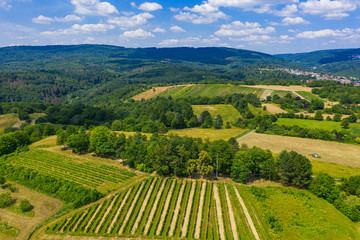 Luftaufnahme von Weinbergen im Rheingau mit dem Taunus im Hintergrund
