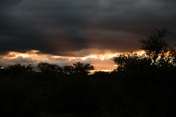 Sunrise, Sunset with dark clouds in africas savannah