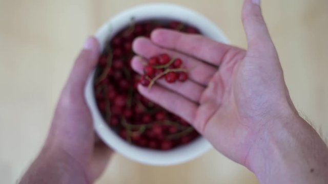 Hands holding a bowl with red currant on vintage wooden background. Fresh berry fruits