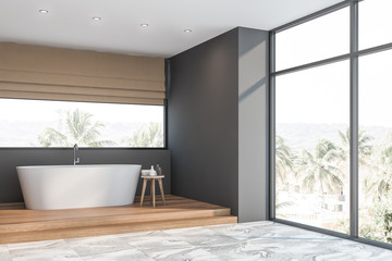 Gray loft bathroom corner with tub